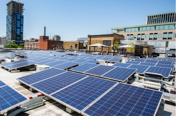 An array of solar panels covers a flat roof in a city.